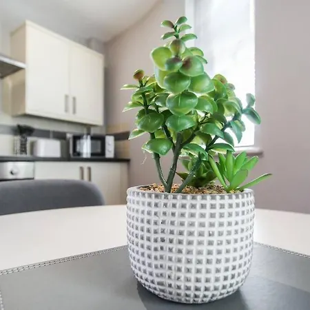 Primeee Location! - Modern Apartament Bristol